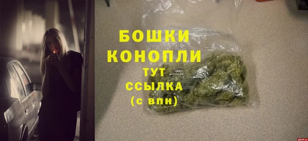 прущие грибы Наволоки