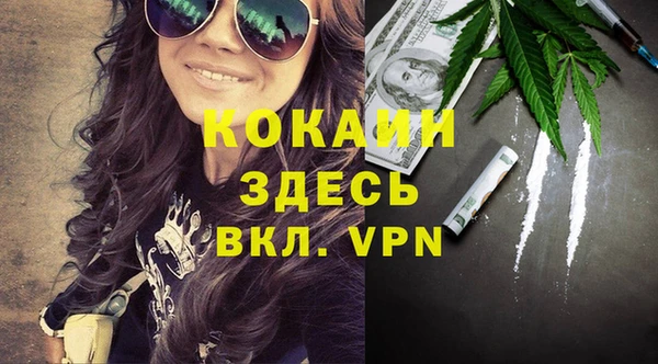 молекула духа Алзамай