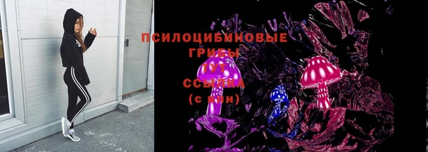 молекула духа Алзамай