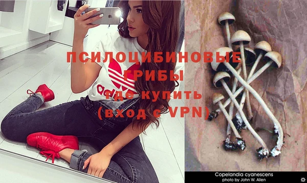 молекула духа Алзамай