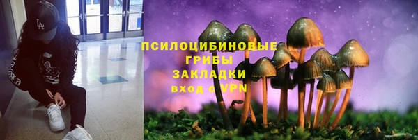 эйфоретик Алексин