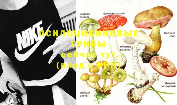 молекула духа Алзамай